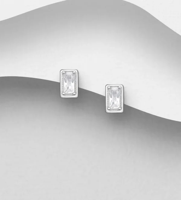 PREMIUM COLLECTION | Wilma -hopeiset kirkkaat nappikorvakorut