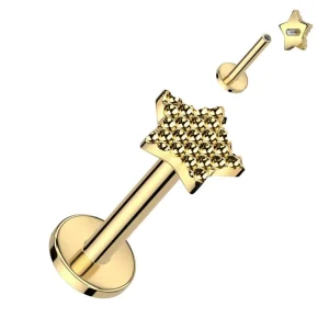 Rustokoru/traguskoru, Diamond Cut Star in Gold -titaaninen labret