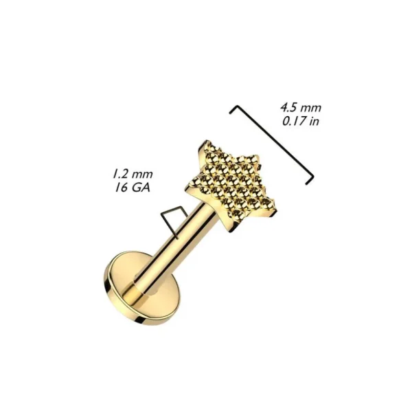 Rustokoru/traguskoru, Diamond Cut Star in Gold -titaaninen labret
