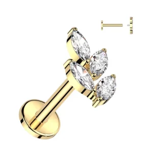 Rustokoru/traguskoru, Marquise Leaf Top in Gold -titaaninen labret
