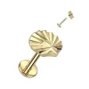 Rustokoru/traguskoru, Sea Shell Top Labret in Gold -titaaninen labret