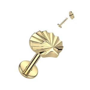 Rustokoru/traguskoru, Sea Shell Top Labret in Gold -titaaninen labret