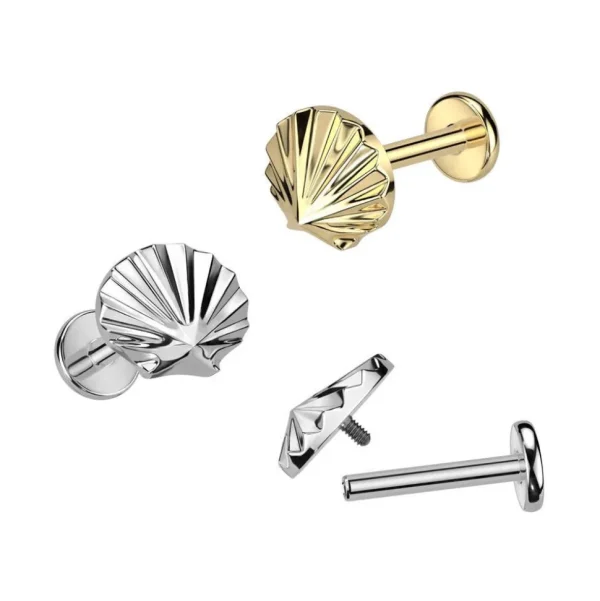Rustokoru/traguskoru, Sea Shell Top Labret in Gold -titaaninen labret