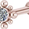 Rustokoru/traguskoru, Titanium Bohemian Labret with CZ Rosegold PVD
