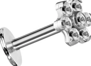 Rustokoru/traguskoru, Titanium Mini Flower Labret in Clear