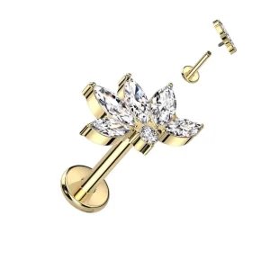 Titaani rustokoru/traguskoru, Marquise Lily -kimaltava labret (kulta)