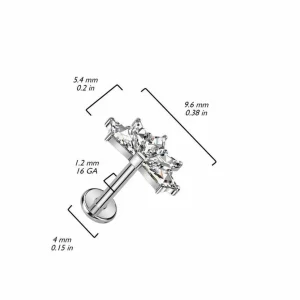 Titaani rustokoru/traguskoru, 5 CZ Fan Top -kimaltava labret (hopea)