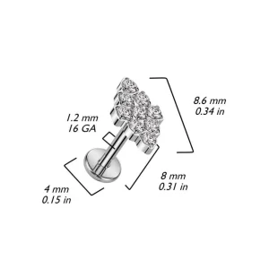 Titaani rustokoru/traguskoru, Diamond CZ -kivellinen labret (hopea)