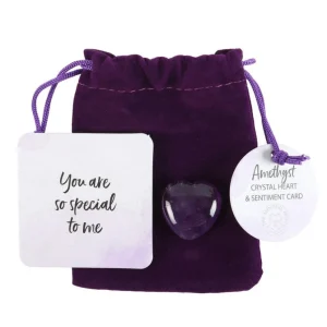 You Are So Special To me -ametisti sydän onnenkivi lahjapussissa